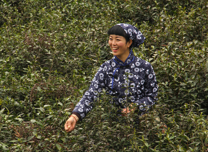 推荐1
